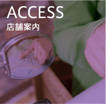 ACCESS