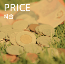 PRICE